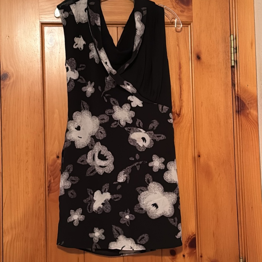 Shipley & Halmos Silk and Chiffon Dress